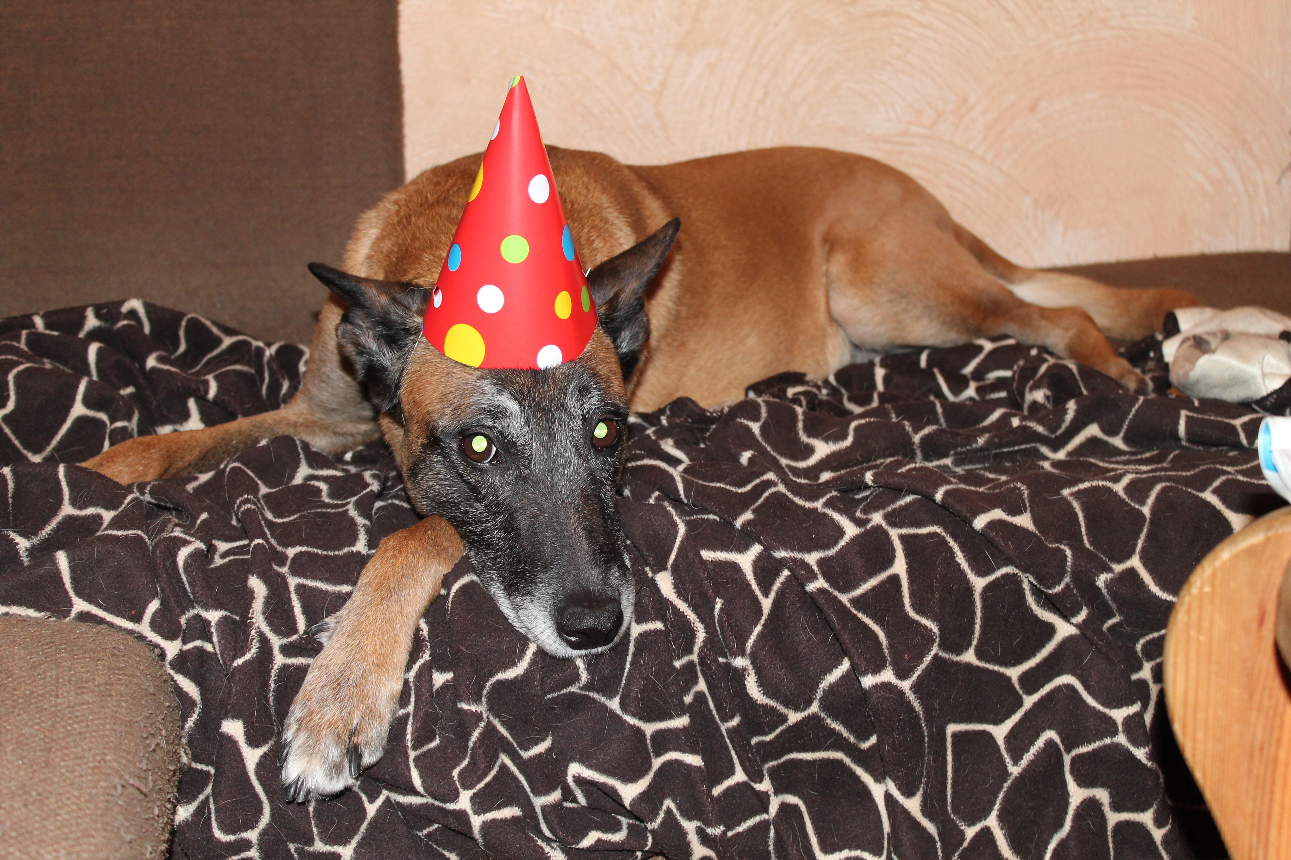 Betty_Geburtstag