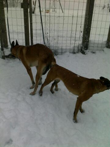 Betty & Helge