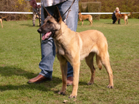 Erja vom Wehebach