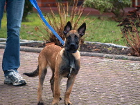 Diego