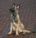 Diego
