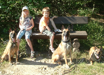 vdh-dm-waldmünchen 013 vdh-dm-waldmünchen 013