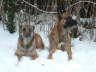Januar 2009