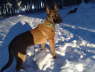 DaffyBbergSchnee