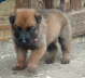 Emely 1, Tag26
