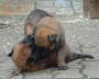 Emely und Edda 1