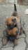 Emely u