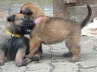 Emely und Edda 2