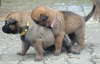 Emely und Edda 3