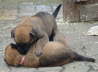 Emely und Edda 4