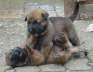 Emely und Edda 5
