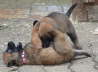 Emely und Edda 6