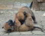 Emely und Edda 7