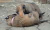 Emely und Edda 8