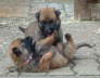 Emely und Edda 9