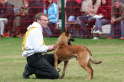 dhv Sichtung 2007