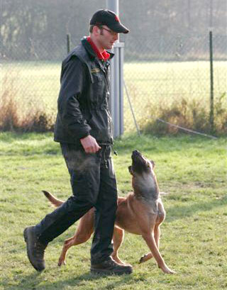 Frank & Enox Frank & Enox